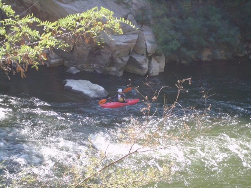 DP – Water Slalom